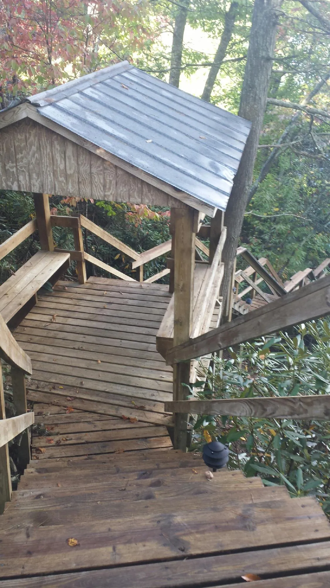 Metal roofed shelter over wooden steps on a wooded walkway in Allison Park