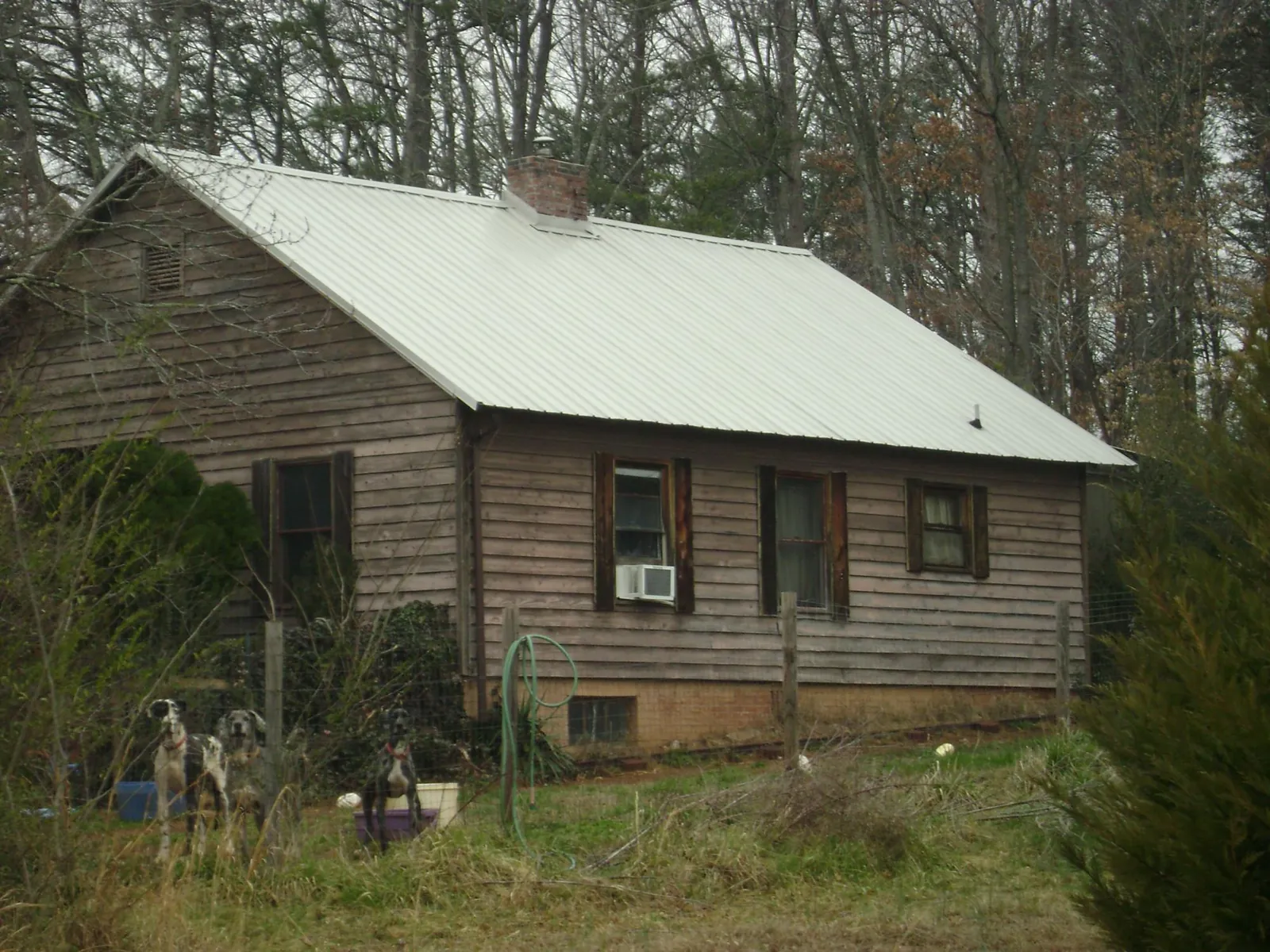 White metal roof on an old wood sided farmhouse, from a Asphalt Shingle Roof Repair job in Allison Park